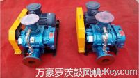 Positive displacement blower