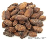 Organic Cacao Beans (Raw)