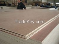 E1 E2 glue commercial plywood