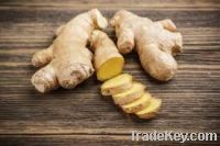 Organic Ginger