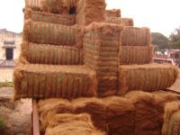 Coconut Fibre/Husk