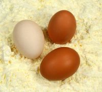 Whole egg powder, egg albumin powder, egg white powder