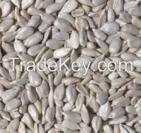 Bakery sunflower seed kernels in high quality
