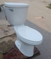 Stock Siphonic toilet, two piece, s-trap