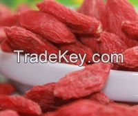 2014 crop Himalayan Certified Organic Goji berry, Tibet goji berry