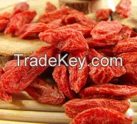 EU hot sell dried goji berries