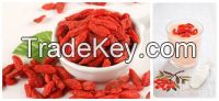 Ningxia dried goji berries from China