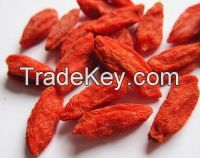 Goji berry/organic goji berry/chinese wolfberry