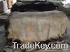 dry salted cow hides