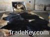 wet salted cow hides