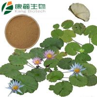 Lotus Leaf Extract, Lotus Flavonoids