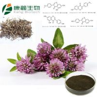 Natural Femal health product Red Clover Extract Powder