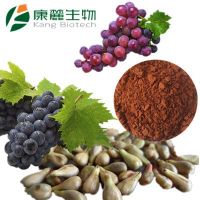 Grape Seed Extract OPCs powder