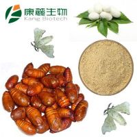 Male Silk Moth Extract- Xiong Can E Extract
