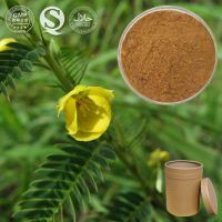 100% pure natural Cassia Nomame Extract/Cassia Nomame Extract powder/cassia nomame p.e