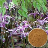 Epimedium extract  Horny goat weed Extract Icariin  as a Sexual Stimultant  Aphrodisiacs for Men