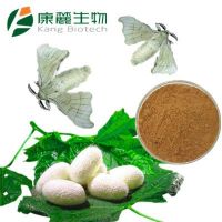 Male Silk Moth Extract- Xiong Can E Extract  Improve sex drive and performance
