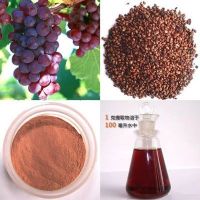 Grape Seed Extract OPCs powder for cosmetic