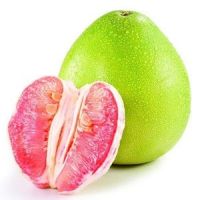 Citrus Paradisi Extract  98% Naringin