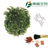 Amentoflavone from spike moss extract, selaginella tamariscina extract, 