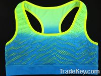 ladies hot sport seamless bra selling