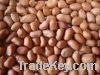 Peanuts Grade A Contact Skype: Richard.kateos