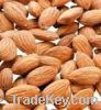 Almond Nuts 100mt For Supply Contact Skype: Richard.kateos