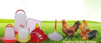Plastic Poultry Chicken DrInkers