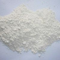 High Purity Dehydrated Garlic Powder