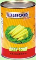 Canned Baby Corn Whole/Cut