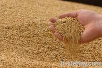 soft milling wheat