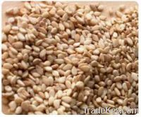 Sesame Seeds