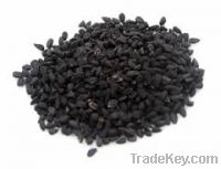 Nigella Seeds