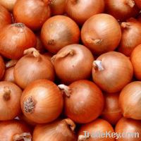 Onions