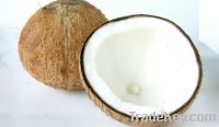 Raw Matured Coconut