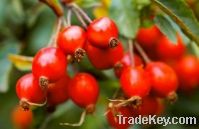 Rosehip essential oil; Rosehip seed essential oil