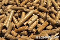 Wood Pellet Very Cheap