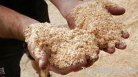 sawdust, sawdust pellets, Sawdust Charcoal, wood sawdust for animal beddi