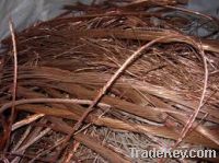 pvc coated copper wire