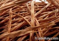 Copper Wire Scraps Suppliers | Copper Scrap Exporters | Copper Scrap Manufacturers | Cheap Copper Scrap | Wholesale Copper Scraps | Discounted Copper Scrap | Bulk Copper Scraps | Copper Scrap Buyer | Import Copper Scrap | Copper Scrap Importers | Copper S