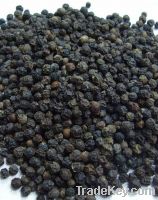 Black Pepper