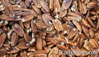high quality pecan nuts