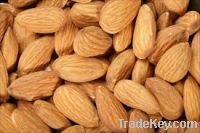 high quality almond nuts for sale