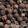 Sell Great Species Black Peppers