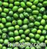 Sell Green Mung Beans