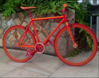 Fixed Gear Bicycle, 700CS-003, chromium-molybdenum steel frame bike