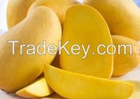 Organic fresh mango from Vietnam with Global Gap Cer