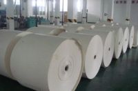 supply PE coated cup paper