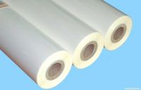 supply Good quality PET coated paper