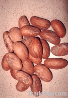 Bitter Kola nuts